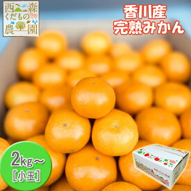 ＼早期発送／香川産 小玉みかん 2kg・4kg・8kg 家庭用［送料無料♪（北海道・沖縄除く）］（宮川早生・青島・石地）蜜柑 小粒ミカン 温州みかん