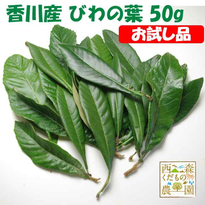 市場 乾燥 送料無料 入浴剤に ビワ葉 枇杷の葉 業務用 1kg 4個 お風呂用 国産 びわ茶に ドライハーブ 枇杷葉 びわの葉茶に びわの葉 ビワの葉 びわ葉茶に びわ葉 市場 乾燥 送料無料 入浴剤に ビワ葉 枇杷の葉 業務用 1kg 4個 お風呂用 国産 びわ茶に ドライハーブ 枇杷葉 びわの葉茶に びわの葉 ビワの葉 びわ葉茶に びわ葉