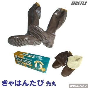 cA ͂񂽂 rJ  ETL-2 cAEnEX|p }Jc MRETL2