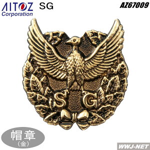 ��2�܂Ń��[���֑Ή��� �x���� �A�C�g�X 67009 �X�́E�� SG �A�C�g�X AZ67009