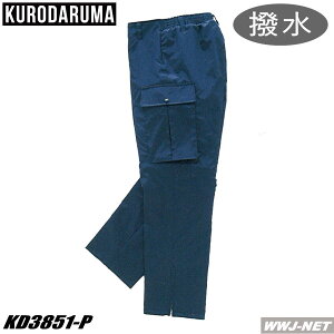 ƕ ƒ h  {A h pc 3851-P N_} KD3851P