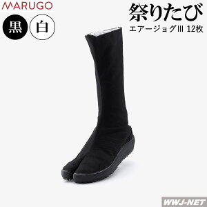 Ղ肽 ی GA[WO3 III Rn[ 12   Obv Ղ葫 AIRJOG312  n }S ی MGAIRJOG312