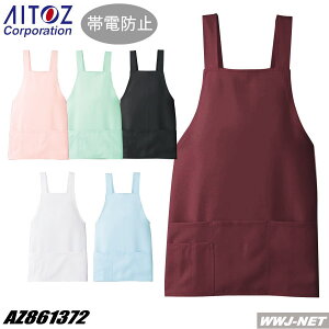 Gv  d Xgb` V[g Gv 861372 ACgX AZ861372