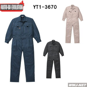 ciM Auto-bi Evolution I[goCG{[V 100%  Ȃ 1-3670 RcC YT3670