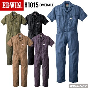 ciM EDWIN GhEC 81015 Ȃ  Y fB[X z ѓdh~ {n GhEB RcC YT81015 tĕ