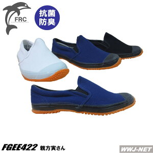 ƌC RS EE422 eЂ Ԃ̍ƌC RۖhLH RS FGEE422