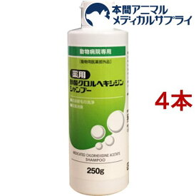 薬用酢酸クロルヘキシジンシャンプー(250g*4本セット)【フジタ製薬】