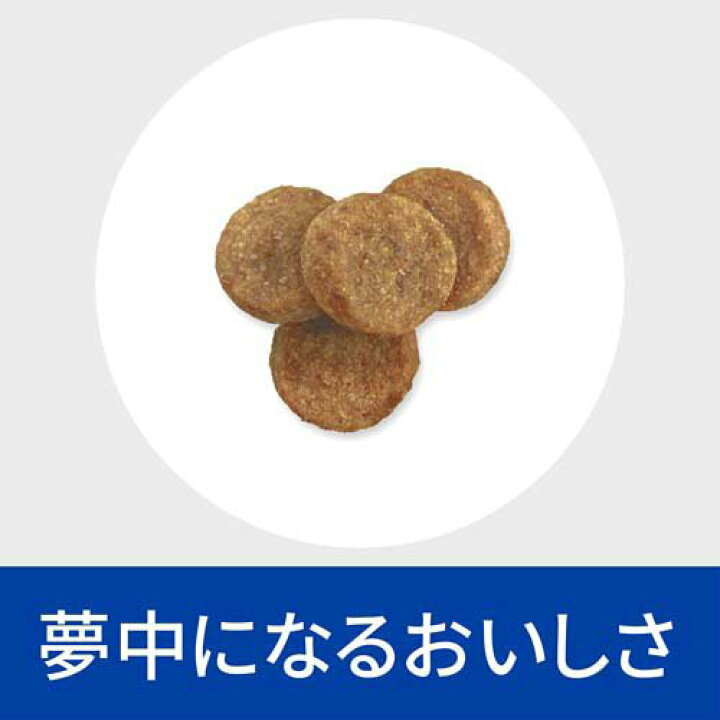 楽天市場】ダームディフェンス チキン 皮膚ケア 犬用 特別療法食 