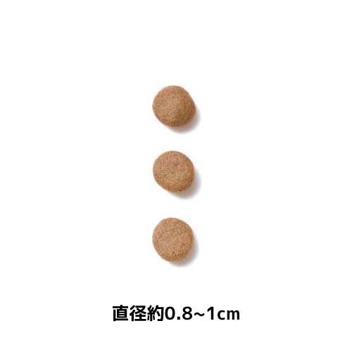 楽天市場】ロイヤルカナン 猫用 ユリナリーS／O ライト(2kg)【ロイヤル