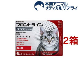 【動物用医薬品】フロントラインプラス 猫用(6本入*2箱セット)【フロントラインプラス】