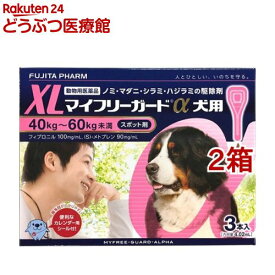 楽天市場 フジタ製薬 マイフリーガードaの通販