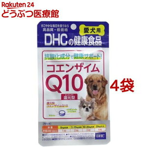 DHC p RGUCQ10Ҍ^(60*4܃Zbg)yDHC ybgz
