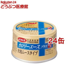 frt J[G[X vX p[X^Cv(85g*24ʃZbg)yfrt(d.b.f)z