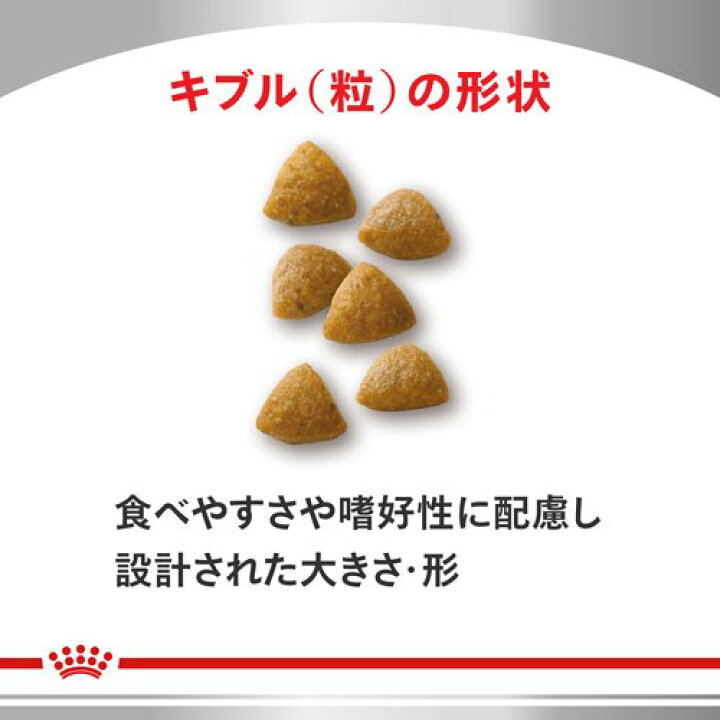楽天市場】ロイヤルカナン 猫用 腎臓サポート スペシャル ドライ(2kg 