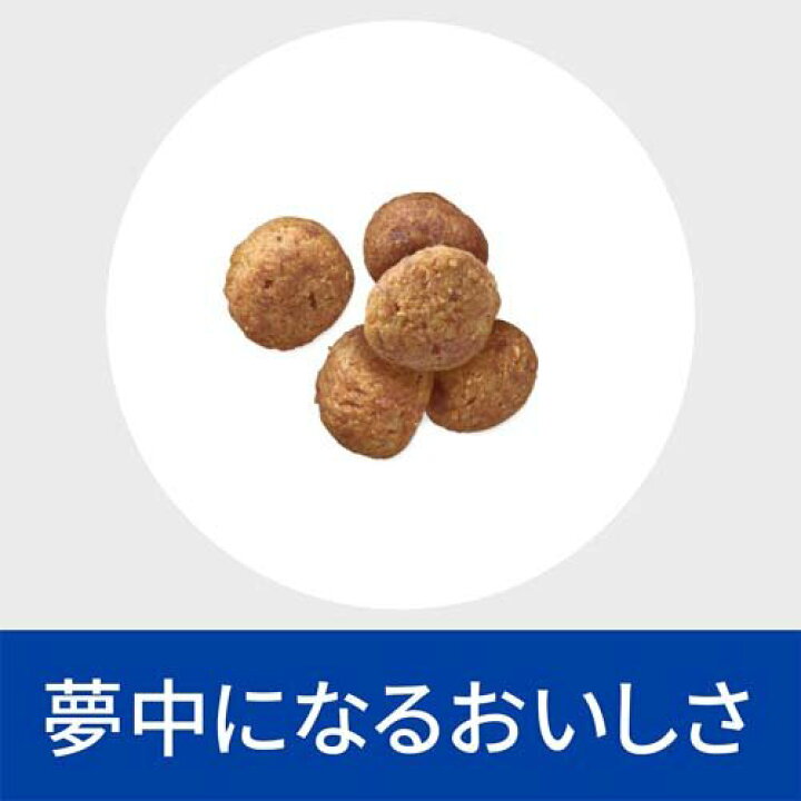 楽天市場】腸内バイオーム 小粒 チキン 犬用 療法食 ドッグフード 