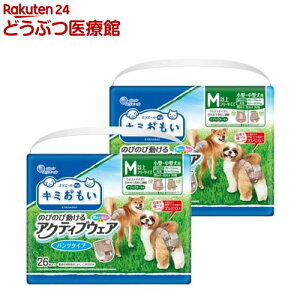 L~ ANeBuEFA pc^Cv Mȏt[TCY( 26×2܃Zbg)yL~z