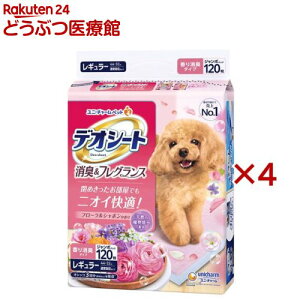 fIV[g LtOX t[V{̍ M[ p(120×4Zbg)yfIV[gz