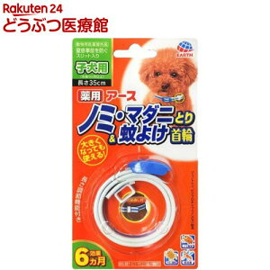 A[X p m~E}_jƂ聕悯 qp(1R)