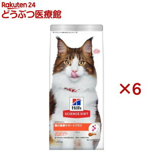 Lbgt[h L Lp 1΁` `L A_g ̌NT|[gvX hC(1.25kg×6Zbg)yqY TCGX_CGbgz[Lbgt[h VjA]