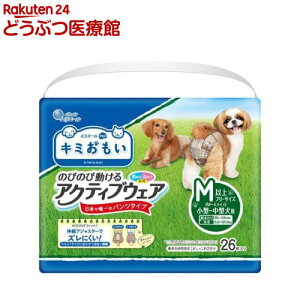 L~ ANeBuEFA pc^Cv Mȏt[TCY(26)yL~z