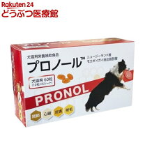 楽天市場】アンチ ノール 犬 用 60 粒の通販