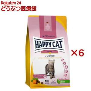 nbs[Lbg O WjAt@[|g[ `L(300g×6Zbg)