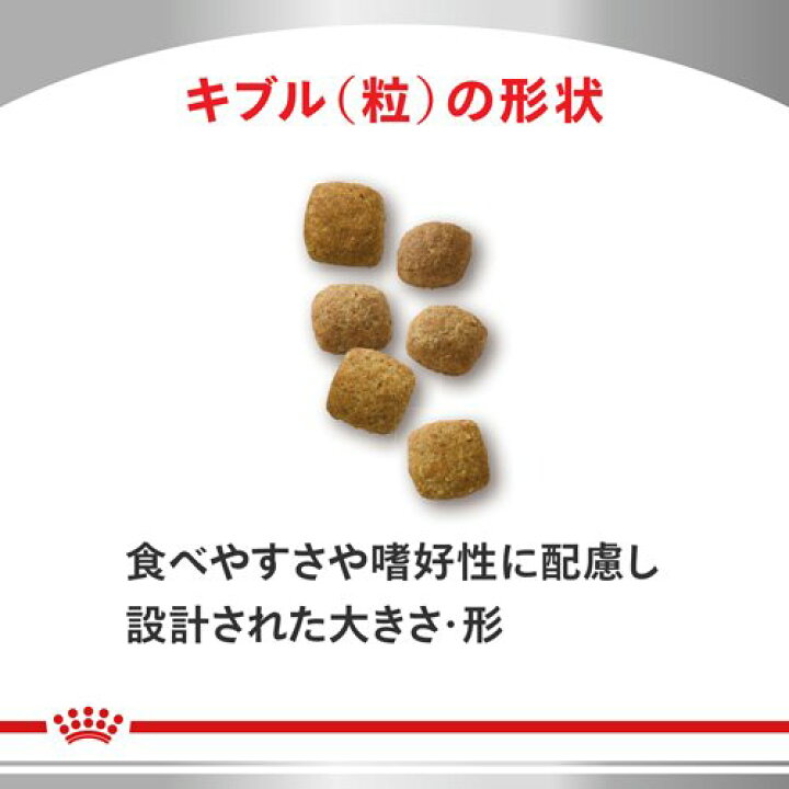 楽天市場】ロイヤルカナン 猫用 エイジングケア ライト(500g 
