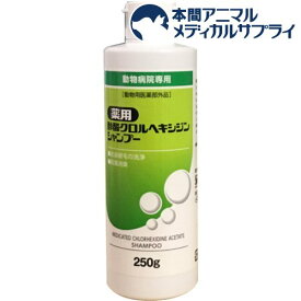 薬用酢酸クロルヘキシジンシャンプー(250g)【フジタ製薬】