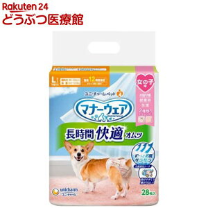 }i[EFA ԉKIc ̎qp L p(28)y}i[EGAz