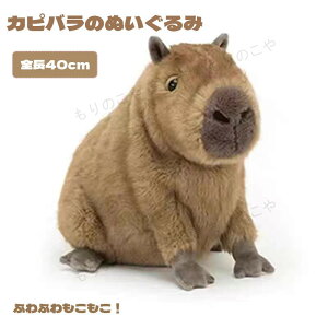 ʂ Jso  Jsôʂ 40cm ӂӂ 킢  Jso  傫 Ԃ q ގ ޏ Ƒ  oYj ̎q j̎q NX}X v[