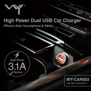 {_10%OFFN[|^ USB 2|[g J[`[W[ VK[\Pbg [d 2A y RpNg  usb [d ^Cvc CgjOP[u ԍ iphone ipad android X}z X}[gtH ^