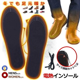 ＼P5倍★お買物マラソン！11日まで／ 電熱インソール 靴 ヒーター シューズ 中敷き ヒートインソール USB加熱式 電熱 冷え対策 フットウォーマー 防寒 あったか インソール 冬場 極暖 防寒対策 水洗い可能 DEISOLL