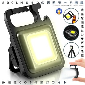 【小型ライトでも大活躍】 LEDライト 超小型 コンパクト 防災ライト COB 充電式 800LM 多機能 カラビナ 栓抜き 作業灯 登山 夜釣り ウォーキング 災害 投光器 高輝度 LED CCOBSR
