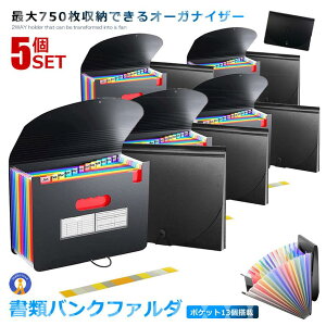 5個セット 書類収納ファイル 750枚収納 A4 13ポケット 書類ケース 持ち運び じゃばら 書類整理 アコーディオン式 見やすい 書類バンクフォルダ 保管ケース マルチ 送料無料 DDOCFAR-13