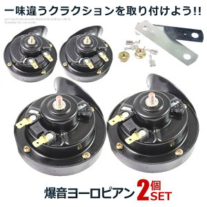 2個セット 爆音 ヨーロピアン 24Vタイプ 電子ホーン 快音 クラクション 24V ブラック ハーモニー 音色 車用品 ブラック アウトドア用品 外装グッズ カー用品 送料無料 HORN02-24