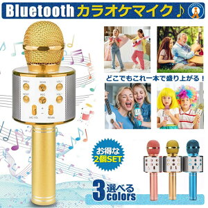 2�Z�b�g ���C�����X�}�C�N Bluetooth �J���I�P �G�R�[ �}�C�N �Z�b�g �ƒ�p USB �X�}�z�A�� �� ���y ������ �Đ� Android/iPhone�Ή� ���ƃJ���I�P WAMAKARA