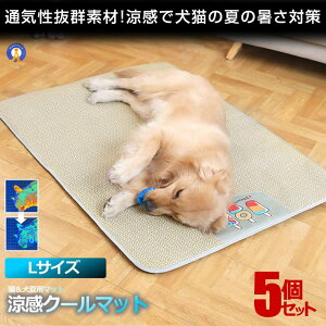 5Zbg ybgp  ybg}bg N[}bg LTCY xbh  L Ђ}bg L    Ђ ybg}bg ⊴ ΍ v x DOG7560-L