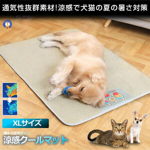 ybgp  ybg}bg N[}bg XLTCY xbh  L Ђ}bg L    Ђ ybg}bg ⊴ ΍ v x  DOG9070-XL