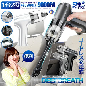 R[hX  nfBN[i[ ԍ |@ GA_X^[ 9000PA 12 5 A^b`g USB[d ԍ ptz RpNg ^b`S~  PROCLI