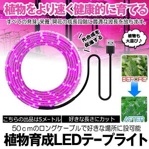 5Zbg A琬Cg 5m USB LEDe[vCg USBd s  A k͔| 琬 R   ϗtA ƒ؉ 琬Cg ώ@  SODATU