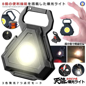 yLvoRɁz LEDCg Px 800[ COB  38g 7_[h USB[d X^h ^ }Olbg @\ 𔲂t Jri Vn}`LEDCg  TENCHU