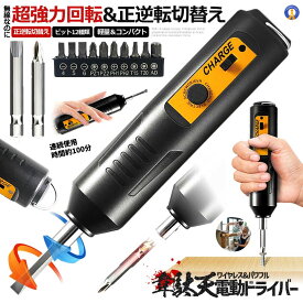 正逆転切替機能 充電式 電動ドライバー USB充電 逆回転可能 ドライバ ビットx12本付 DIY 工具 プラスドライバー マイナスドライバー ワイヤレス 無線 ORADORAI