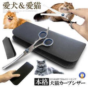 {i g~OVU[ g~O J[u VU[ nT~ ͂  L ybg g~OR[ g~OVU[Zbg nT~Zbg ybg U  MAWAHASA