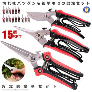 15Zbg ΂ K[fjO nT~ }؂ |͂ XeX nhbN |p A ؂₷   ƒ؉ }؂͂  GARDSCISET