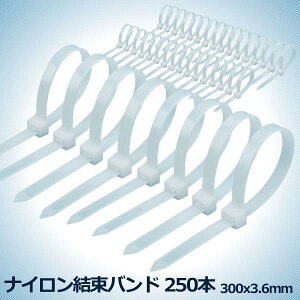 ナイロン結束バンド 250本 整理 結束 ケーブル 束ねる 収納 配線 管理 パソコン コード 送料無料 250-NAIKESO
