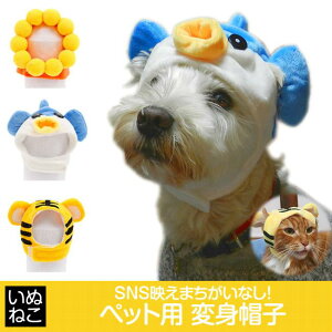 50OFFIyVX[p[Z[  L 蕨 Xq ANZT[  ϑ tO g O Ԃ ʂ˂ f SNSf yΏےn͑z