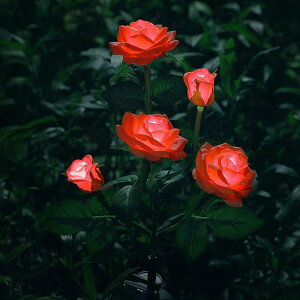 _|Cg5{ubNtCf[^ yɌo^Cgz \[[Cg O o ZT[Cg _   ߍݎ z[d K[f  h v[g 