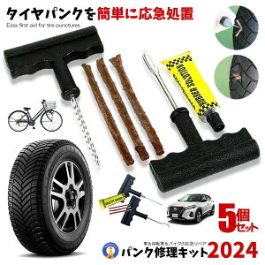 5Zbg pNCLbg yALbg ^C ȒP }u J[pi lC ȒP }u eiX S S K C ̂h ړ s Cpi  PUNK-S