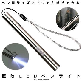 【超小型ハンディライト】 懐中電灯 LED 小型 LEDライト ペン 充電式 USB 持ち歩き 100LM ハンディライト アウトドア キャンプ USB充電 釣り 作業 防犯 防災 ツール 緊急 EGLARE