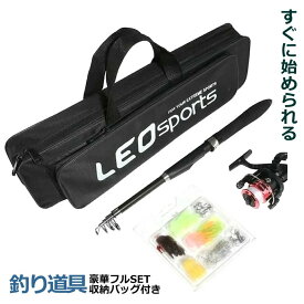 釣りセット ルアーセット 釣竿セット 初心者 子供 スピニングリール フィッシング 初心者 海釣り 投げ釣り 釣り具 釣り竿セット 初フィッシュフルセット 収納バッグ HATUFISH